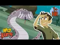 Amazing Snake Facts National Serpent Day Feb 1st Wild Kratts