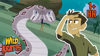 Amazing Snake Facts National Serpent Day Feb 1st Wild Kratts