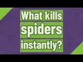 What kills spiders instantly