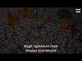 Download Lagu Bagh Ughduni Daar ( Slowed And Reverb ) PLUG N VIBE MARATHI