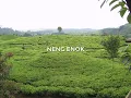 Download Lagu Lagu Sunda Doel Sumbang Neng Enok