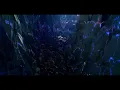 Parallel VIP X Illuminate (Metrik & Grafix X Sub Focus & Wilkinson)