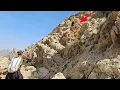 Download Lagu Giant wild man attacks Rajab and cameraman, blocking goats' path in dangerous mountain