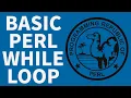 Pearl While Loop - Pearl Programming For Beginners 2022