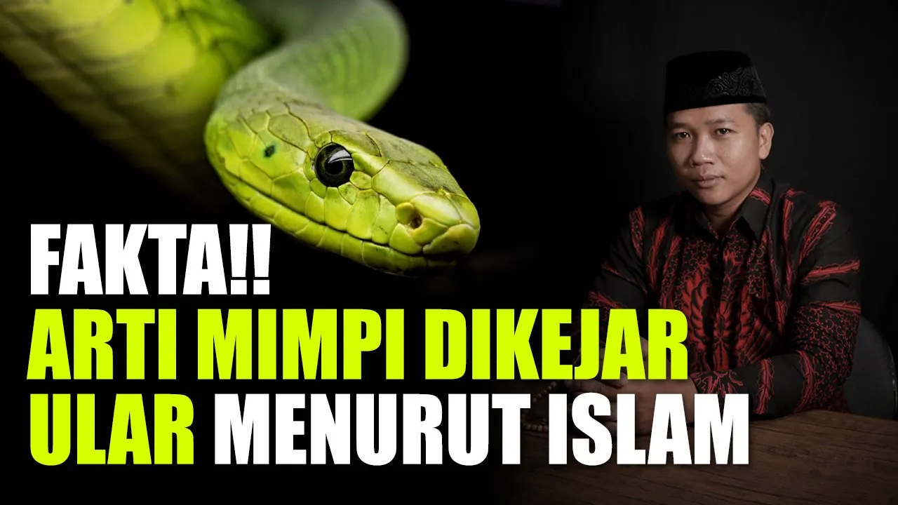 Mimpi Digigit Ular Menurut Islam - Umroh Mana
