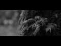 Emmit Fenn - 1995 (Official Music Video)