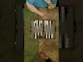Tampa Backgammon Meetup Group