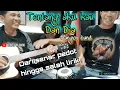 Lagu Tentang aku kau dan Dia||kanngenband||ku tulis cerita tentang....||cover koplo akustik