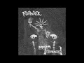 Download Lagu Flower   Hardly a Dream 2022 Anarcho Crust Punk