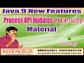 Process API Updates JEP-102 Material