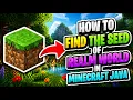 How To Find the Seed of Realm World in Minecraft Java