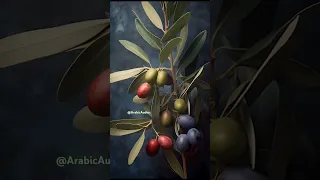 حتى الآن الورد يقاوم حتى الزيتون وحتى التين اكسبلور Explore New Fyp Shorts Fypシ Viral Trend  حتى الآن الورد يقاوم حتى الزيتون وحتى التين اكسبلور Explore New Fyp Shorts Fypシ Viral Trend