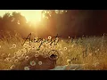 Download Lagu August 2025 Playlist 🌻🚗 | 3½h Indie / Pop / Folk Music for Golden Days \u0026 Late Summer Wandering