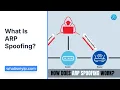 What Is ARP Spoofing Avoid ARP Poisoning Attacks