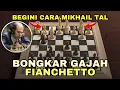 Download Lagu TAKTIK CERDAS MIKHAIL TAL MEMBONGKAR DUA GAJAH FIANCHETTO - Mikhail Tal vs Zoltan Ribli