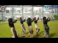 Download Lagu Tari kreasi \