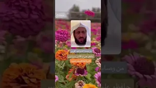 وجعلنا من بين أيديهم سدا ومن خلفهم سدا 