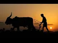Lagu happy farmers day 2025 || happy national farmers day || farmers day whatsapp || kisan status