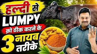 हल्दी सें LUMPY क़ो ठीक करने के 3 नायब तरीके 👉🏻 lumpy को कैसे ठीक करे