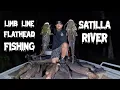 Catching Flathead catfish on the Satilla River using limb lines April 5th 2023