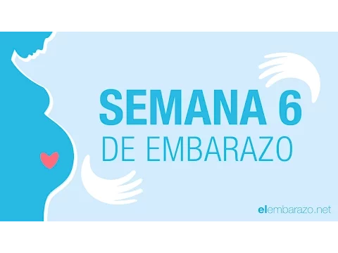 Download MP3 Semana  6 de embarazo | 6 semanas de embarazo | El embarazo semana a semana