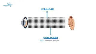 ما الصوت   وكيف ينتج  كيف ينتقل الصوت  ما حدة الصوت  دندنها