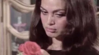 زمن عبدالحليم  زمن عبدالحليم