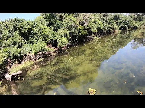 Download MP3 Lago Azul no Rio São Benedito com Rio Teles Pires MT/PA ( Pousada Pimenta Fishing )