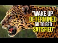 Download Lagu WAKE UP DETERMINED \u0026 START THE DAY - Motivational Video Compilation - 30 Minute Morning Motivation
