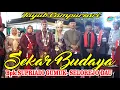 Download Lagu TAYUB SEKAR BUDAYA HAJAT : BPK.SUPRIADI / BPK.PAISO_ GUMUK- SELOREJO DAU