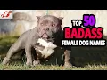 TOP 50 Badass Dog Names For Female