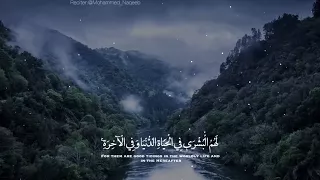 القارئ محمد النقيب الا ان اولياء الله لا خوف عليهم دندنها