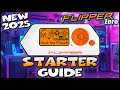 Master the Flipper Zero 2025 Ultimate Beginner s Guide
