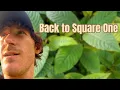 Quitting Kratom - My Experience