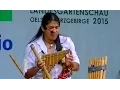 Download Lagu Leo Rojas LIVE - Oelsnitz, DE 2015