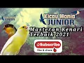 Download Lagu Masteran Kenari Terbaik 2021 - Roll Panjang Auto Dilirik Juri!!!