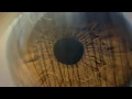 Download Lagu The Lion - DJ Lion \u0026 ROTH feat. BONDI (Official Music Video)