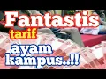 Lagu FANTASTIS TARIF AYAM KAMPUS...!!!