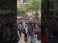 Protesters Face Off With Mounted Police in Austin