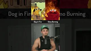 Which GIF Is Better