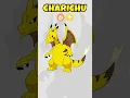 PIKACHU and CHARIZARD FUSION Pokemon