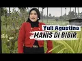 Lagu Yuli Agustina – Manis di Bibir (Official Music Video)