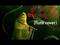 Lagu Tune o rangeele kaisa jadu kiya ( Hindi Song) Flute Music, Best Flute Music, No Copyright Music