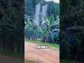 Download Lagu Amazing Chinese banana drone harvesting techniques 😲😲