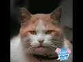 Download Lagu this was so so so so  funny 😀😃😄😁😆😅🤣😂