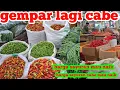 Download Lagu HARGA CABE SEMAKIN NAIK TAPI SAYURAN LEMES HARI INI#PASAR INDUK CIBITUNG#8 SEP 2025