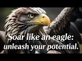 Why Eagles Are Symbols Of Inspiration and Power