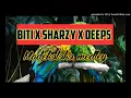 Download Lagu BITI x SHARZY x DEEPS - Madekoloko medley (ROVIANA HITS 2020)