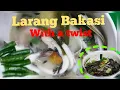 Download Lagu LARANG BAKASI with GATA||maspinasarapan sa coconut milk/ gata/ tunò sa lubi..//aranz islander