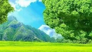 من سورة الحجر بصوت عبد الرحمن مسعد من دون اعلانات 